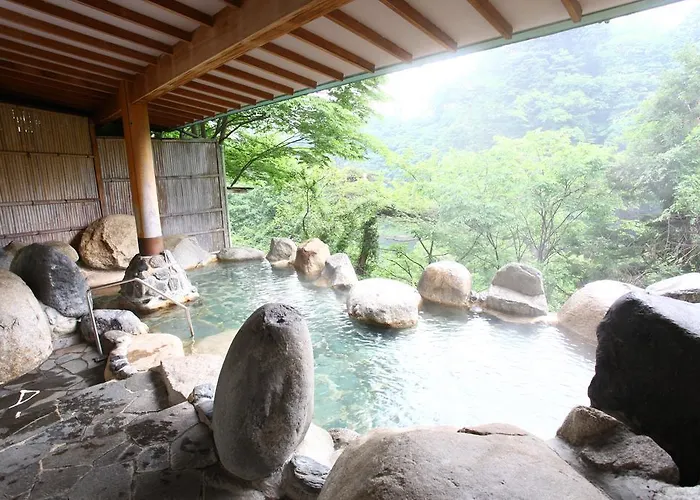 Hotel New Ohruri